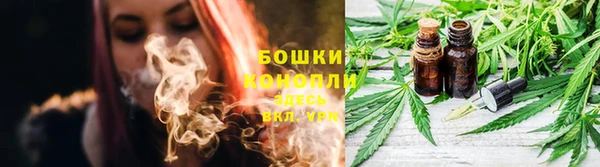 СК Козельск