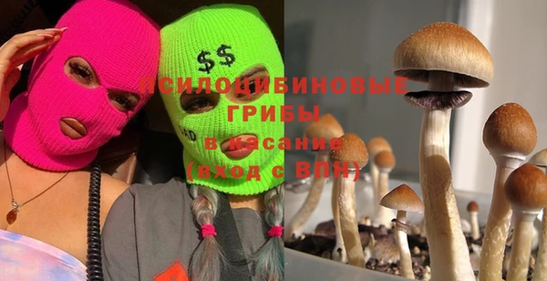 бутират Балабаново